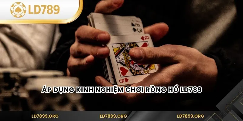 Kinh Nghiệm Chơi Rồng Hổ LD789 - Luật Chơi Và Chiến Thuật Áp dụng kinh nghiệm chơi rồng hổ LD789