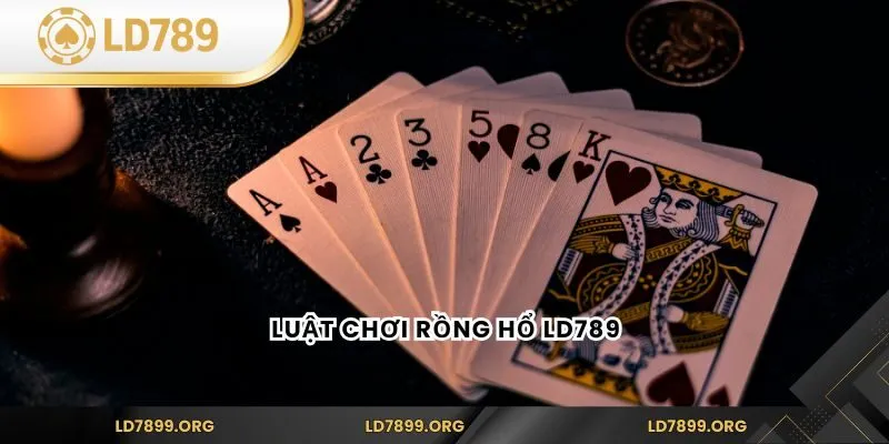 Kinh Nghiệm Chơi Rồng Hổ LD789 - Luật Chơi Và Chiến Thuật Luật chơi rồng hổ LD789