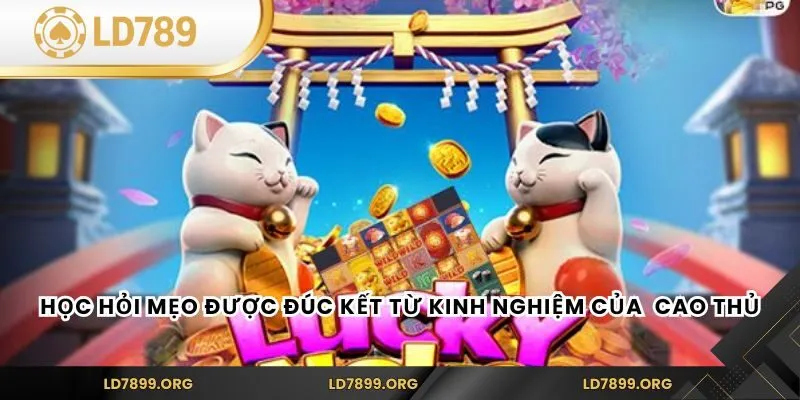 Slot Game Mèo Tài Lộc – Khám Phá Trò Chơi Đỉnh Cao Tại LD789 Học hỏi mẹo được đúc kết từ kinh nghiệm của các cao thủ